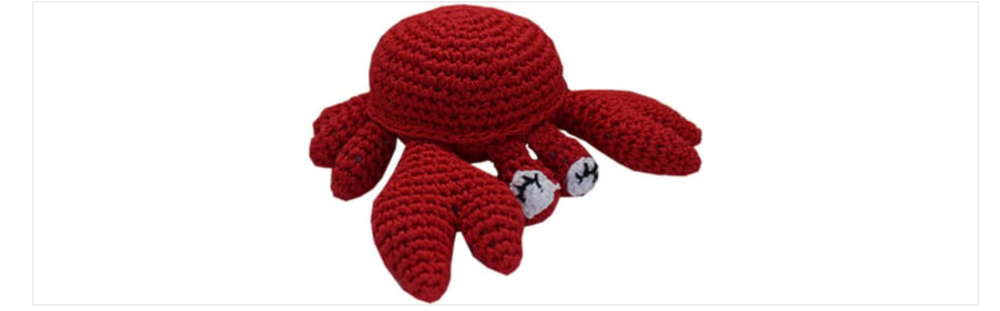 Carb Organic Cotton Dog Toy