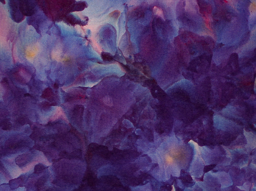 Elysian Dark Horse Dye