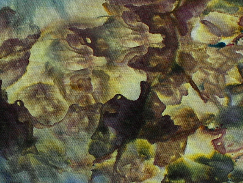 Actias Luna Dark Horse Dye