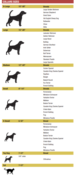 Northern Lights Leash & Collar Set- (Size Medium)