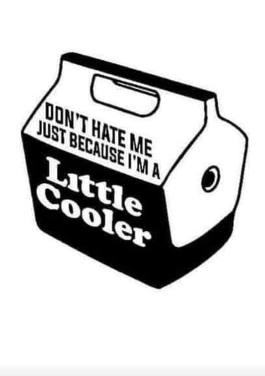 Don’t Hate Me Just Because I’m A Little Cooler