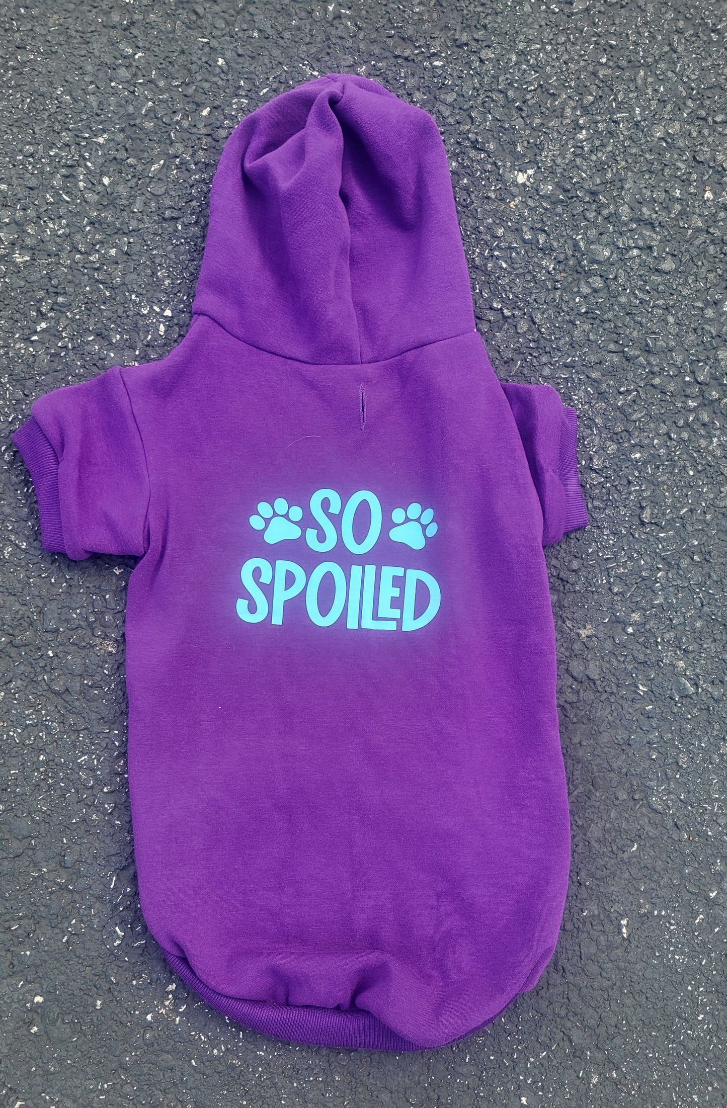 So Spoiled Dog Hoodie - Size 3X - Ready to Ship
